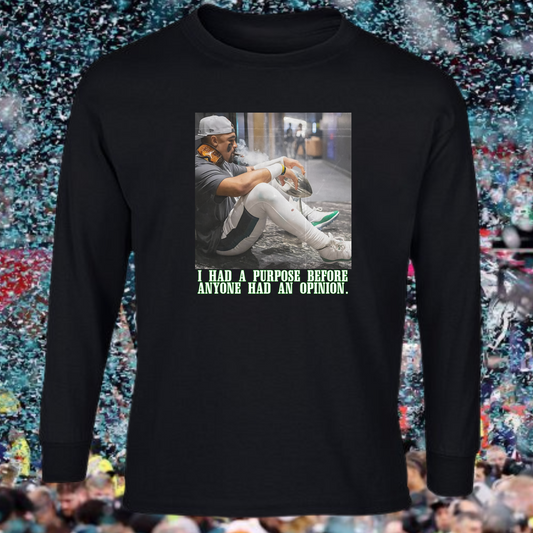 I had a purpose before anyone had an opinion